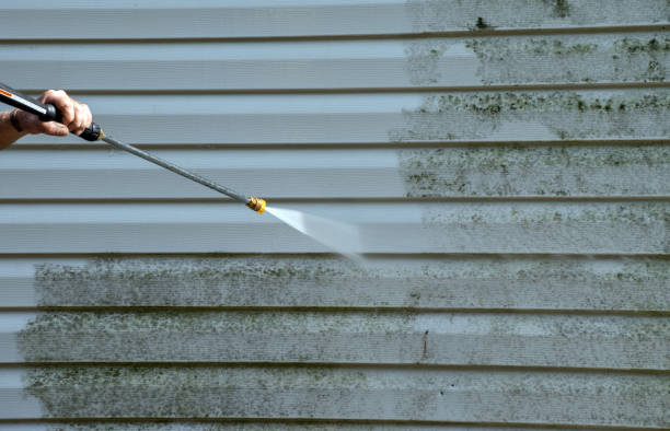 Trusted Carrollton, KY Pressure Washing Services Experts